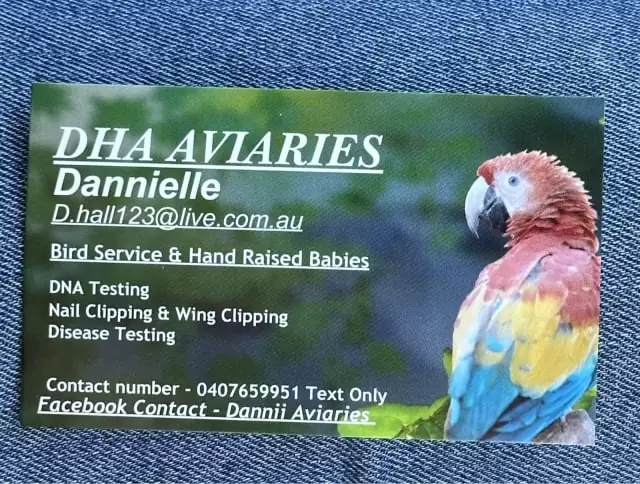 DHA Aviaries Bird Service And Hand Raised Babies