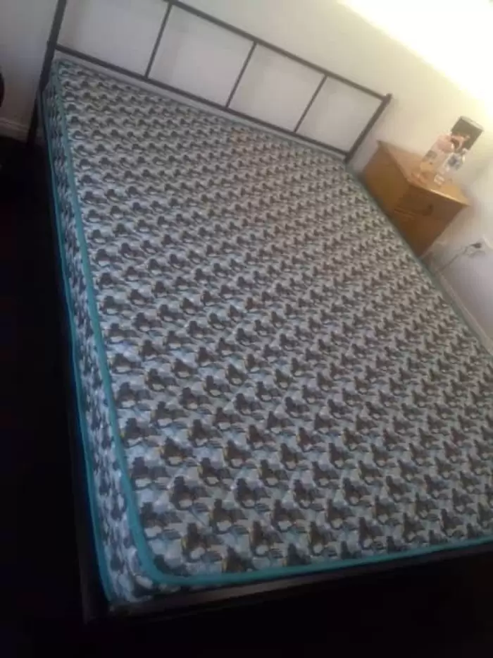 $500 Bed frame and mattress base