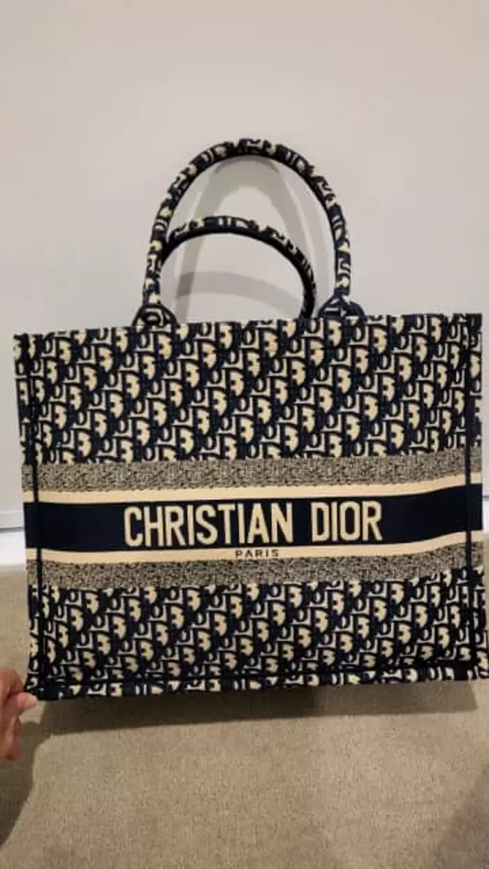 $300 Christian Dior book tote bag